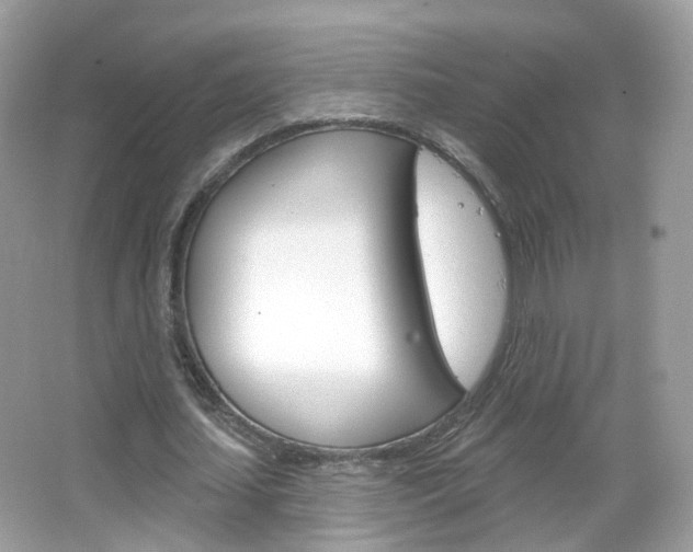 X0000066120627200603101042
