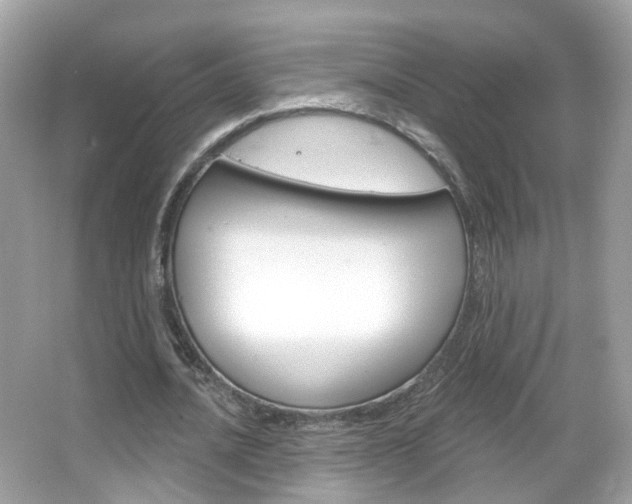 X0000066120628200603101042