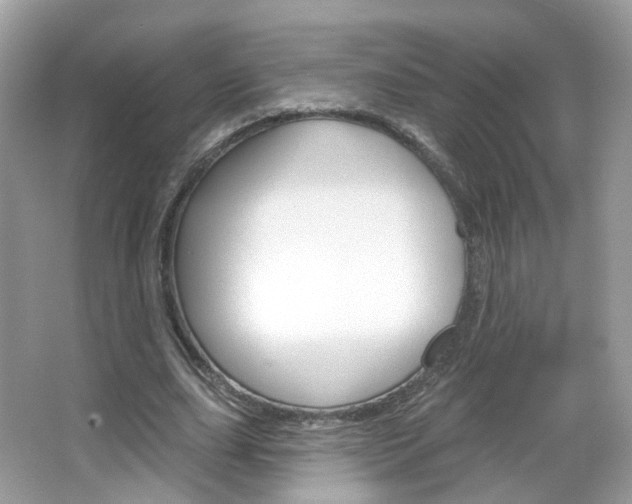 X0000066120631200603101042
