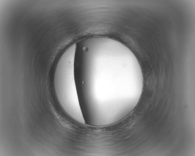 X0000066120635200603101042