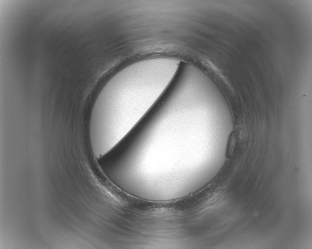 X0000066120637200603101042