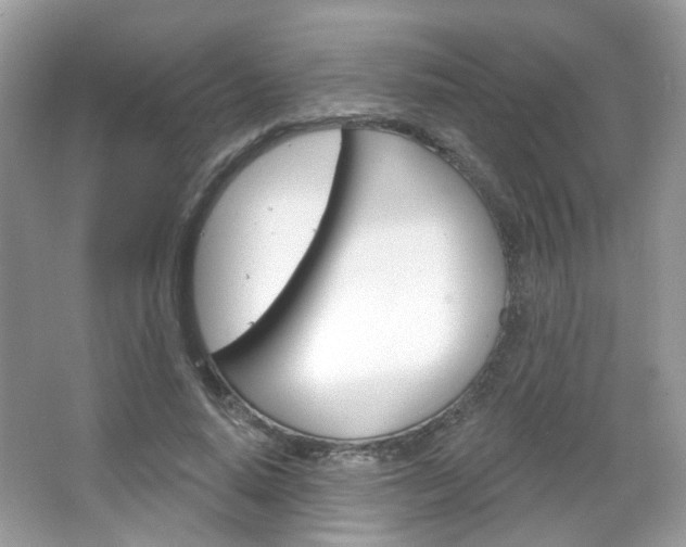 X0000066120640200603101042