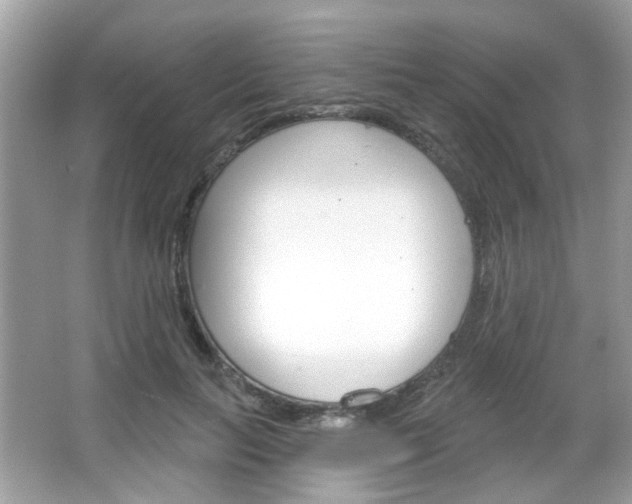 X0000066120647200603101043