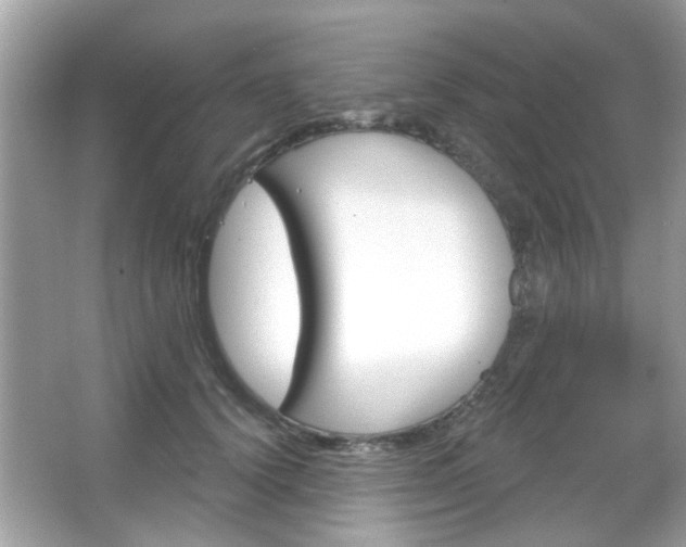 X0000066120656200603101043