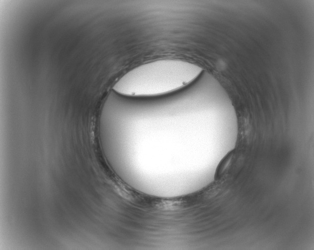 X0000066120664200603101043