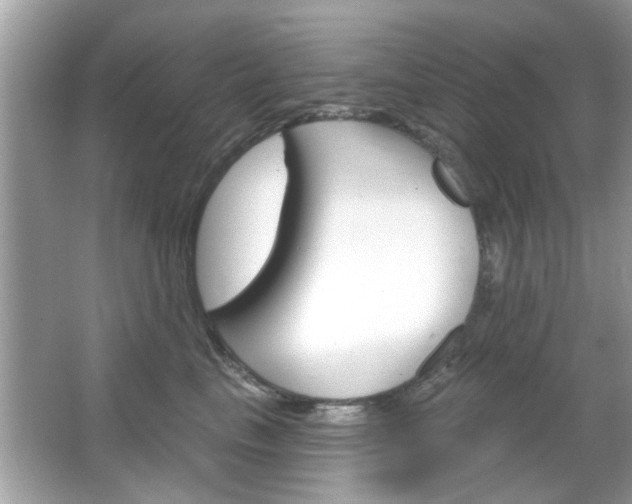 X0000066120665200603101043
