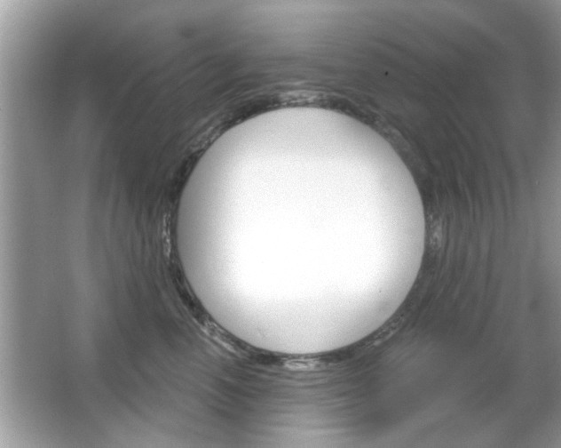 X0000066120666200603101043