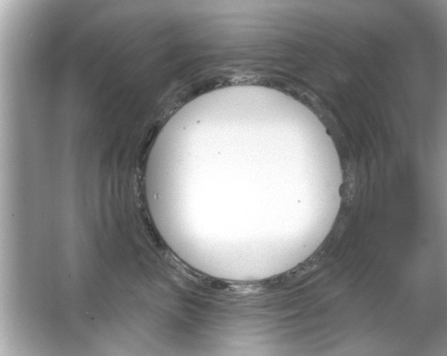 X0000066120667200603101043