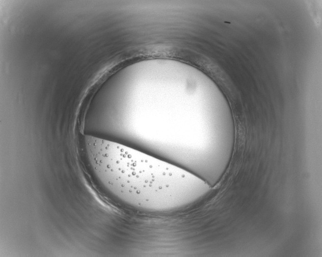 X0000066120674200603101042