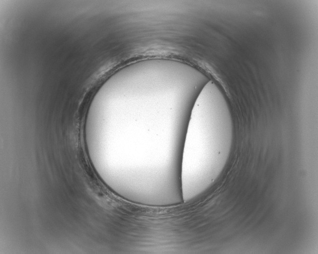 X0000066120675200603101042