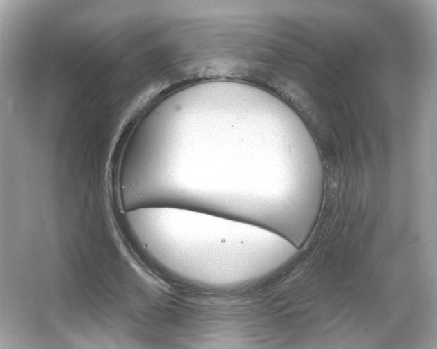 X0000066120678200603101042