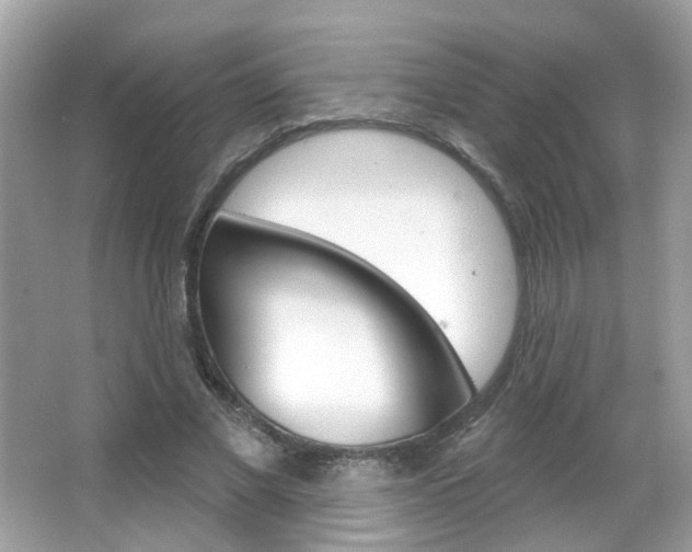 X0000066120685200603101042
