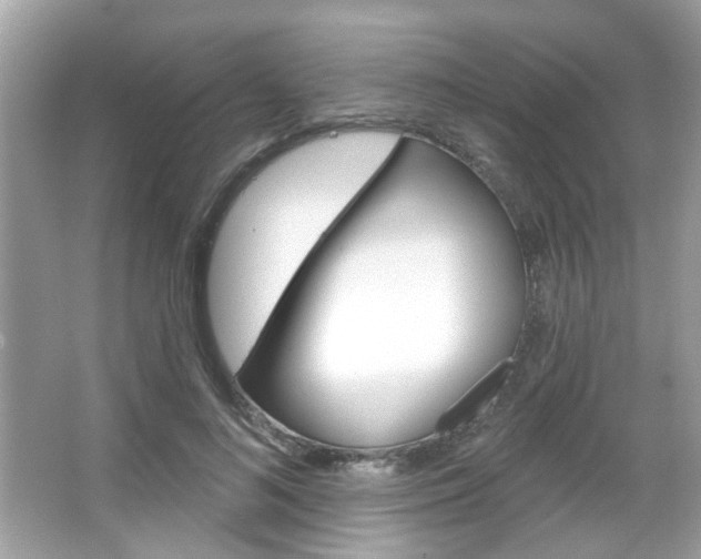 X0000066120692200603101042