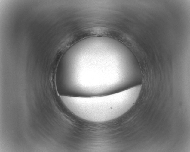 X0000066120696200603101042