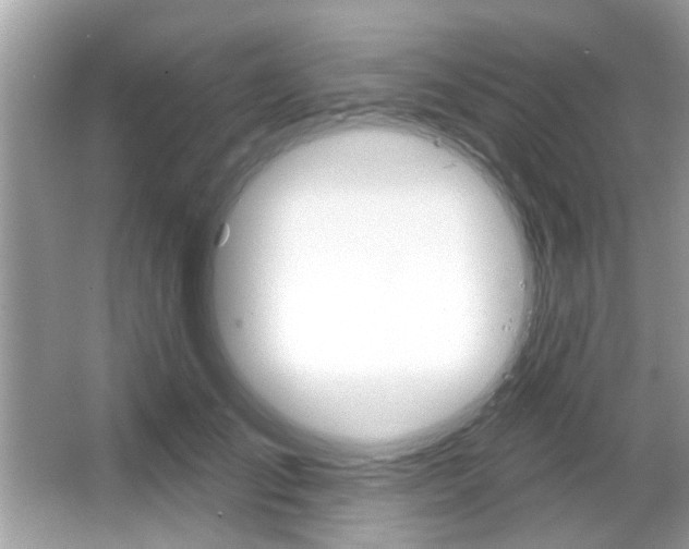 X0000066120701200603101042