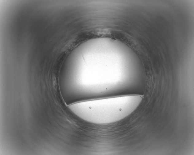 X0000066120704200603101042