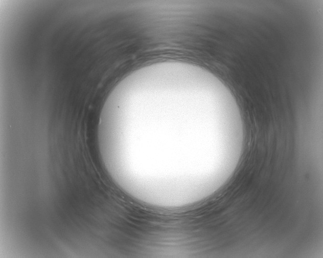 X0000066120705200603101042
