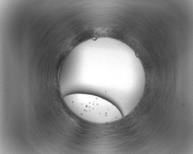 X0000066120706200603101042