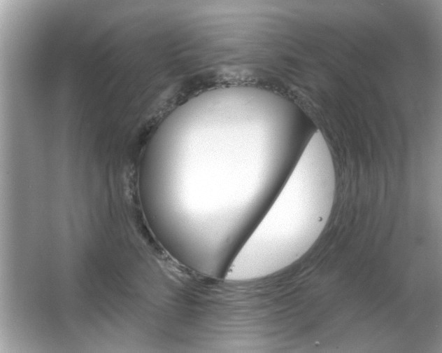 X0000066120712200603101041