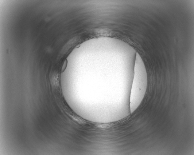 X0000066120713200603101041