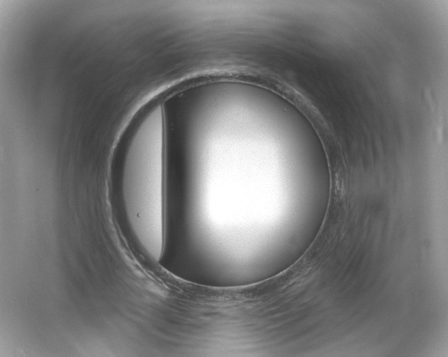 X0000066120724200603101041