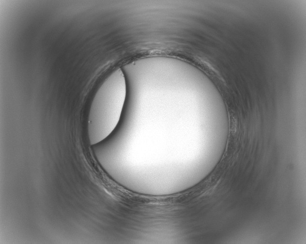 X0000066120733200603101041