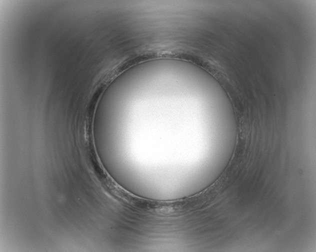 X0000066120740200603101041
