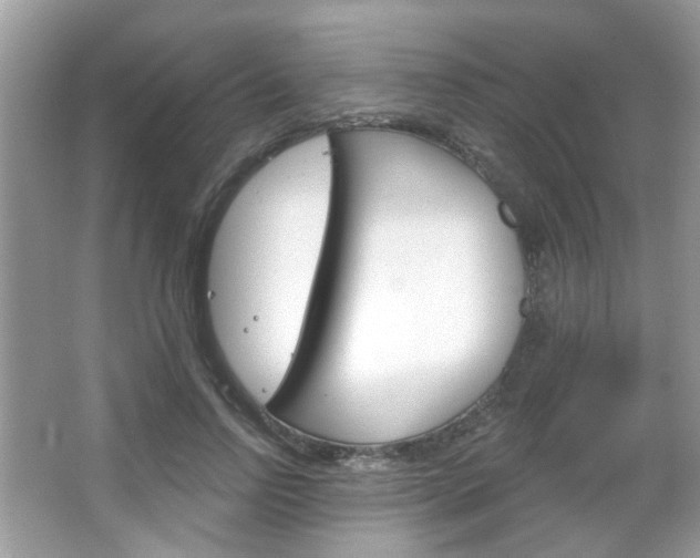 X0000066120742200603101041