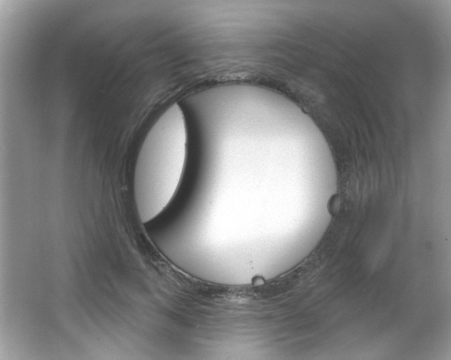 X0000066120743200603101041