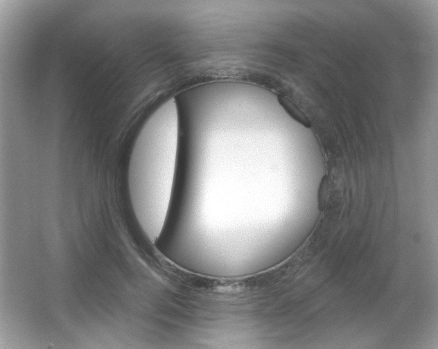 X0000066120744200603101041