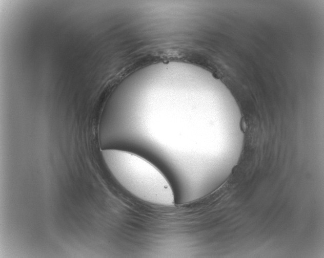 X0000066120747200603101041