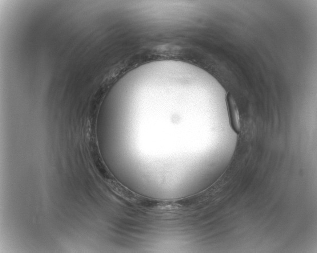X0000066120752200603101041