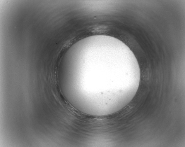 X0000066120755200603101041