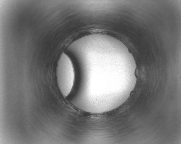 X0000066120763200603101041