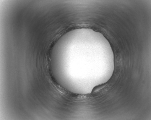 X0000066120764200603101041