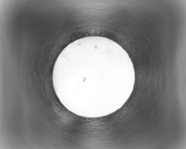 X0000066120769200603101040