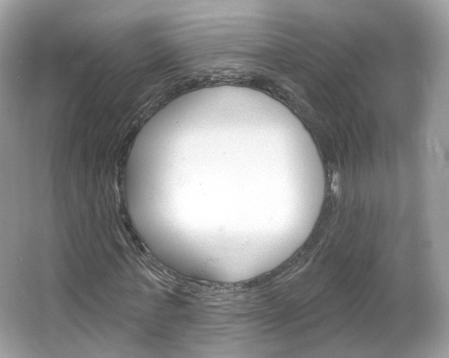 X0000066120771200603101040