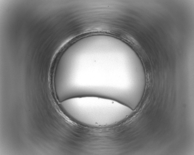X0000066120780200603101040