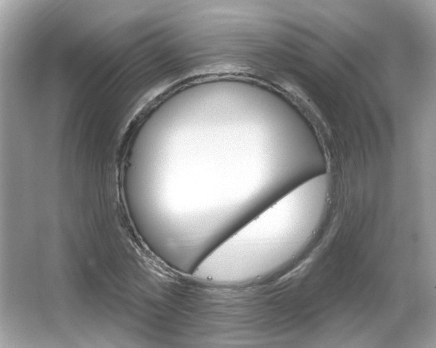 X0000066120781200603101040