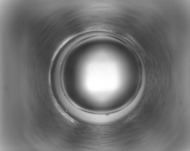 X0000066120788200603101040