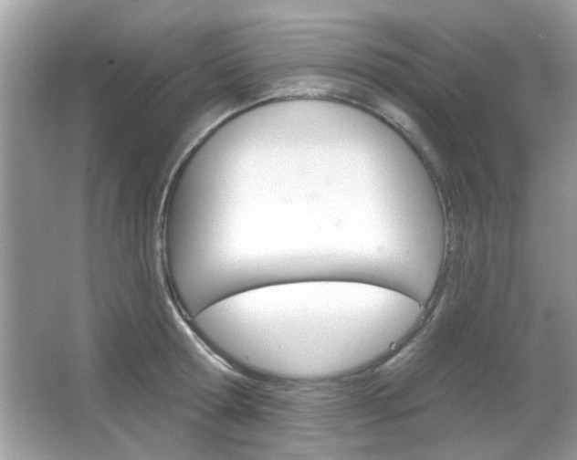 X0000066120802200603101040