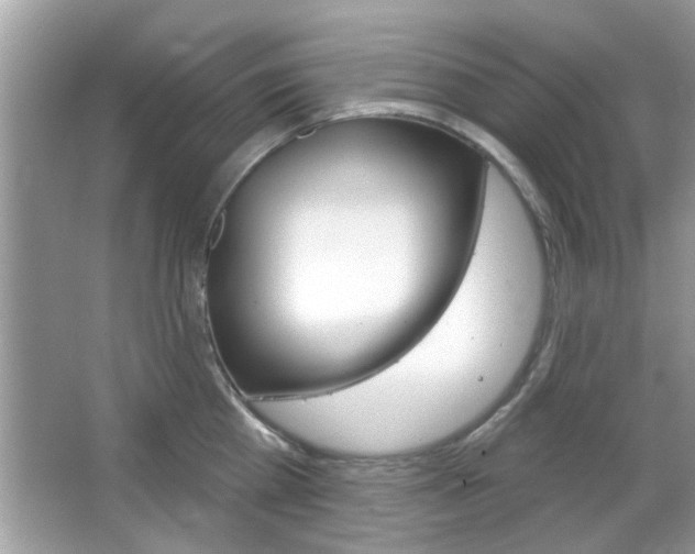 X0000066120809200603101040
