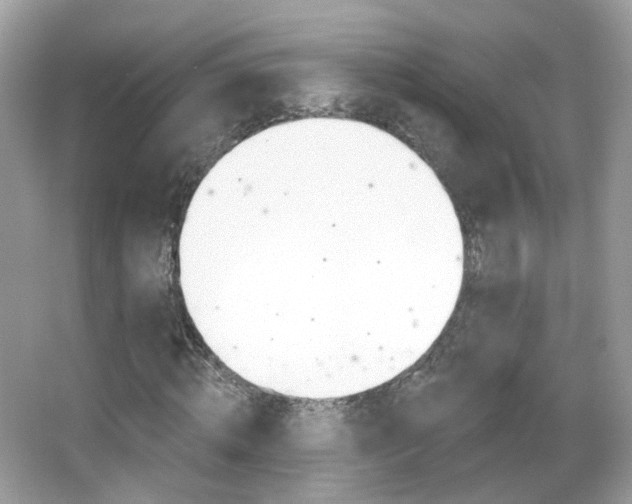 X0000066120820200603101039