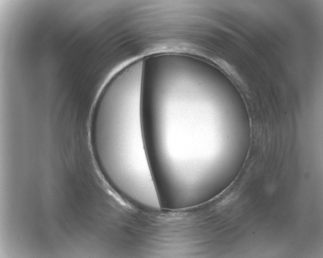 X0000066120846200603101039