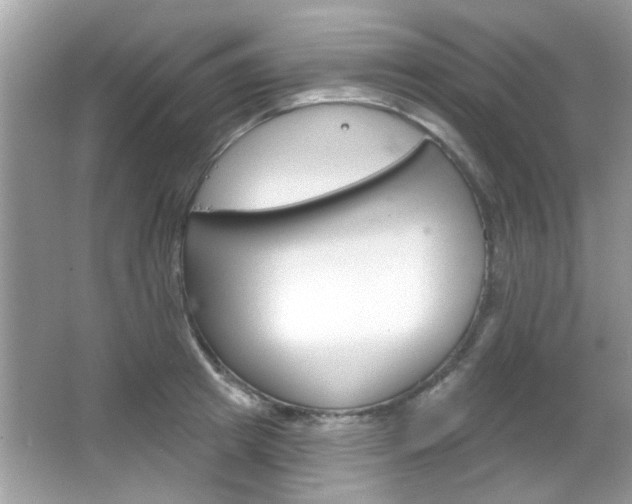 X0000066120849200603101039