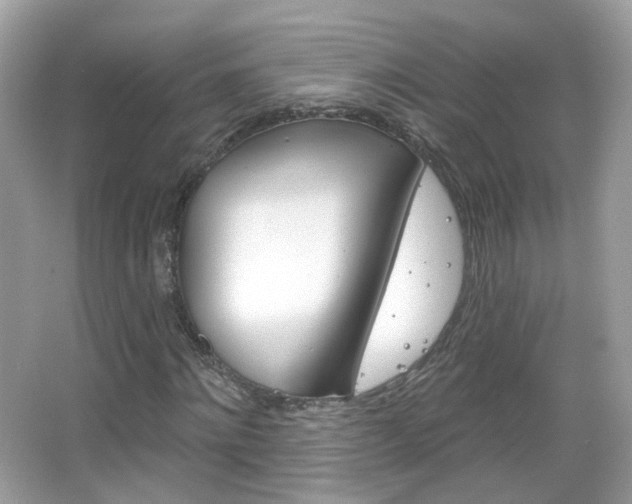 X0000066120868200603101039