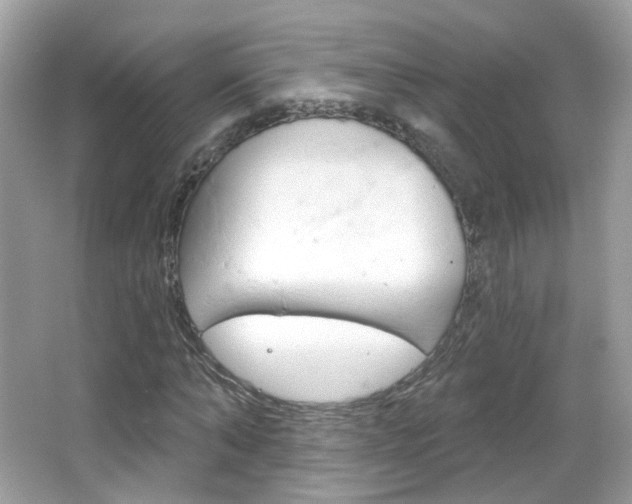 X0000066120870200603101039
