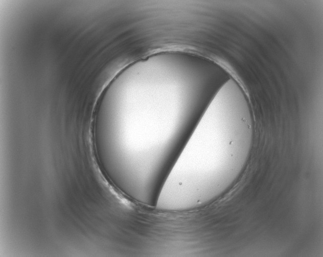 X0000066120906200603101038