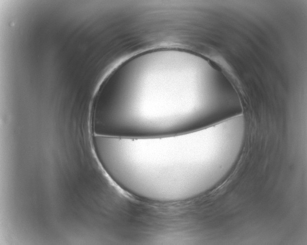 X0000066120910200603101038