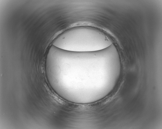 X0000066120929200603101038